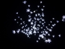 Дерево с прозрачными цветками (SAKURA, белый+белые вспышки 24LED), H-1,5м, IP44 с трансформатором 24