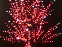 Дерево с прозрачными цветами (SAKURA, красный), H-2,4м, IP44 с трансформатором 24v, провод черный 5м