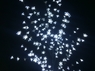 Дерево с прозрачными цветками (SAKURA, белый+белые вспышки24LED) H-1,8м, IP44 с трансформатором 24v,