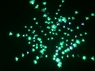 Дерево с прозрачными цветками (SAKURA, зеленый+белые вспышки 24LED), H-1,5м, IP44 с трансформатором