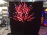 Дерево с прозрачными цветками (SAKURA, красный+белые вспышки 100LED), H-2,4м, IP44 с трансформатором