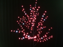 Дерево с прозрачными цветками (SAKURA, красный+белые вспышки24LED) H-1,8м, IP44 с трансформатором 24
