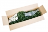 Ель искусственная "Фьерро" 150 см, Green Trees